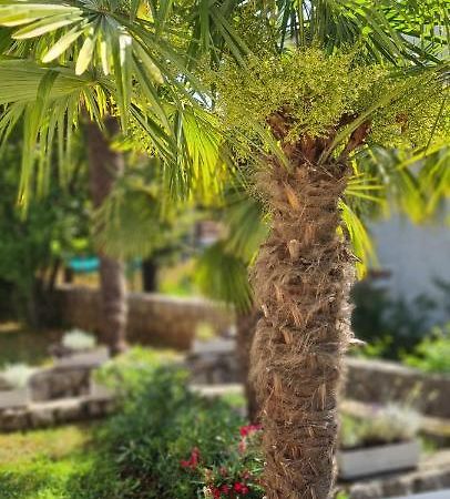 فولوسكو Apartment Garden & Sea المظهر الخارجي الصورة